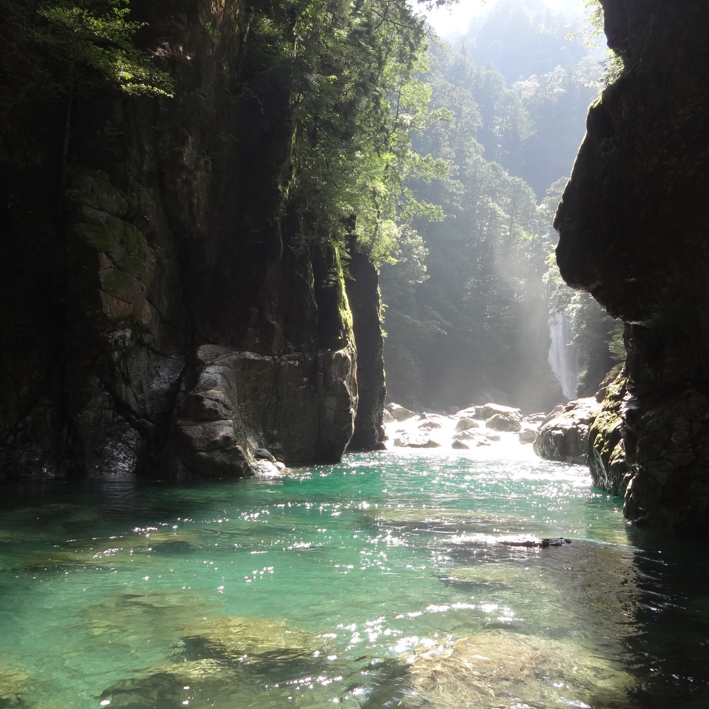 ギフトにおすすめ◎ 9種類の煎茶から 選べるギフト 4種入り | セーフティ・リ・ファーム88 やまりん製茶 三重 大台町 有機栽培茶 伊勢茶