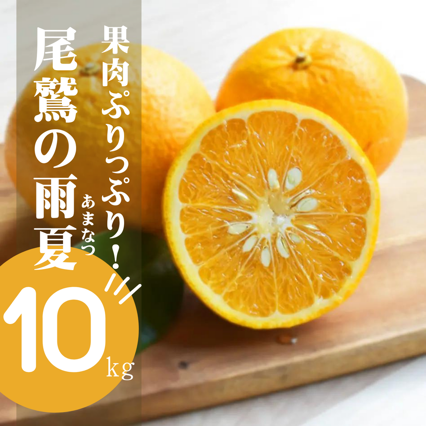 【送料込み】尾鷲産 果肉ぷりっぷり 農薬不使用 尾鷲の木成り完熟甘夏 10kg | Amanatsu Tenma Farm 三重 尾鷲 雨夏