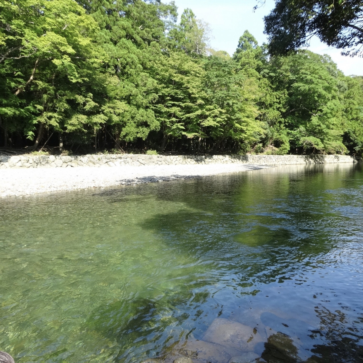 まるで禊を行ったような気持ちよさ◎ 五十鈴川の水が種水 洗顔せっけん 禊 | 伊勢之里 三重 伊勢 お伊勢さん