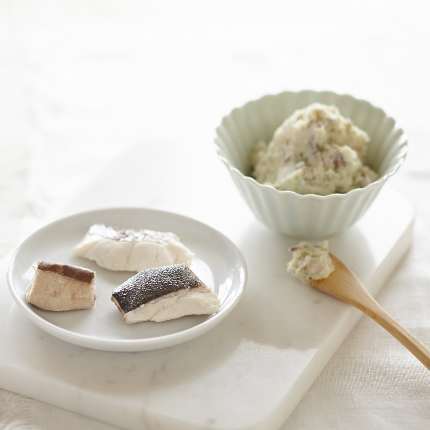 簡単!便利 時短 人気【離乳食後期(9ヶ月)〜】お魚だいすきコース(白身魚・赤身魚の切身) | mogcook モグック 三重 紀北町 熊野古道