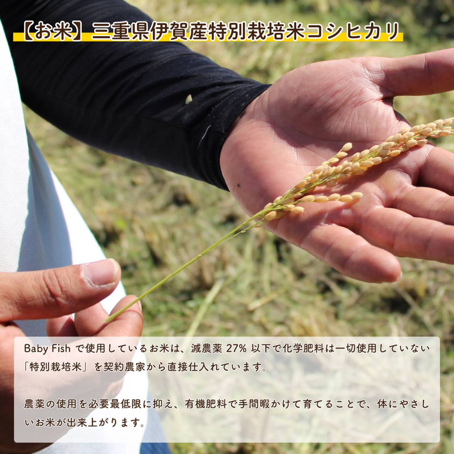 【離乳食中期(8ヶ月)〜】BabyFish 鯛のおかゆ 3種ミックス(5パックセット) | mogcook モグック 三重 紀北町 熊野古道