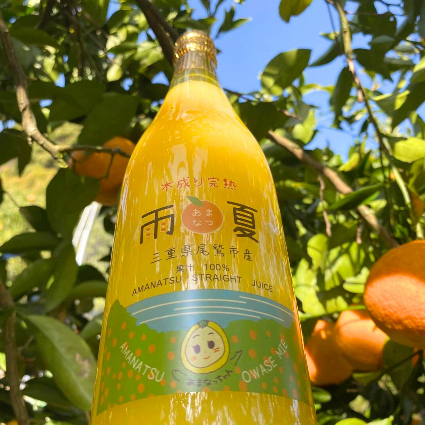 【送料込み】お酒と割って美味しい 甘夏果汁100%ジュース 720ml×2本 | Amanatsu Tenma Farm 三重 尾鷲 雨夏