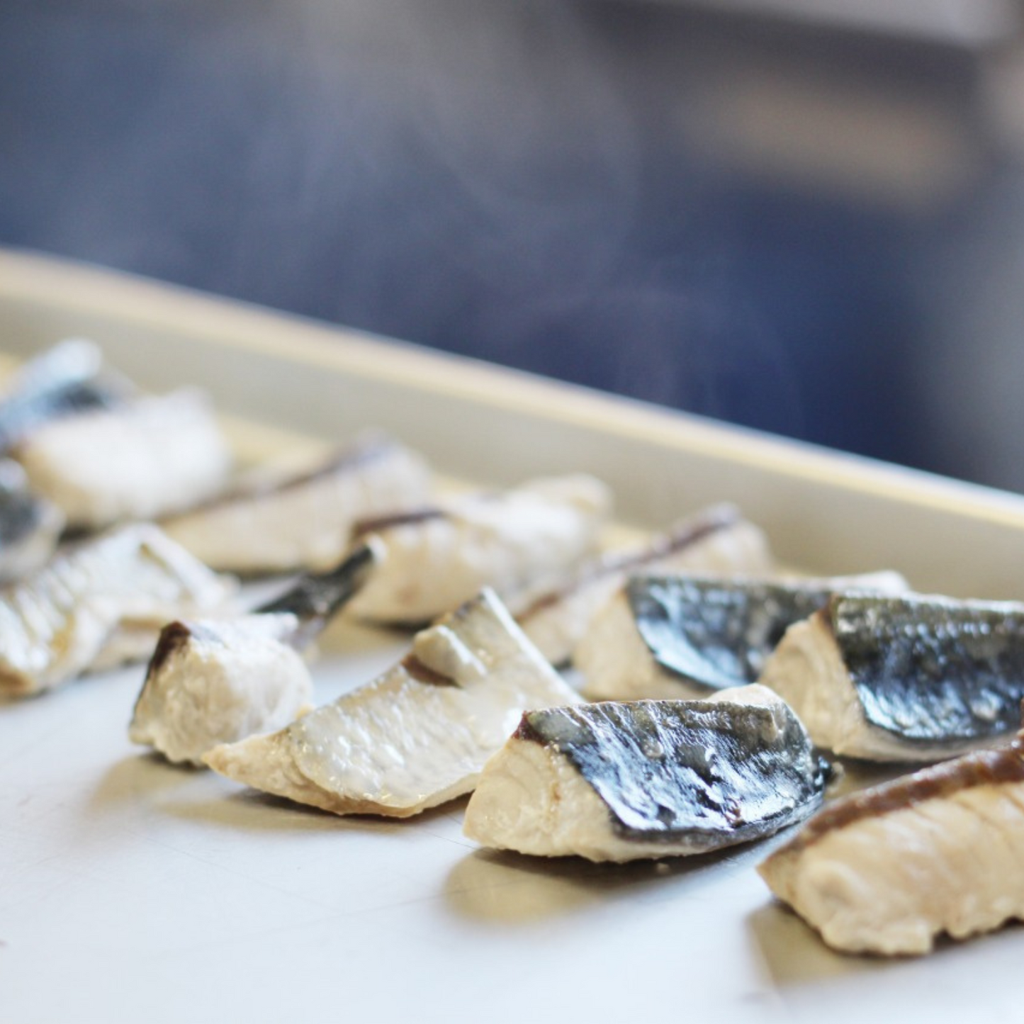 簡単!便利 時短 人気【離乳食後期(9ヶ月)〜】お魚だいすきコース(白身魚・赤身魚の切身) | mogcook モグック 三重 紀北町 熊野古道