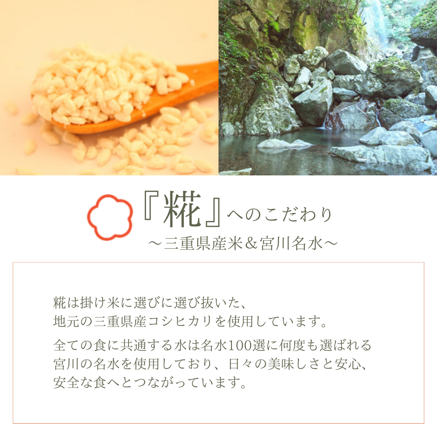 手土産 人気 ギフト お取り寄せ プリン 贈答 伊勢発 発酵スイーツ 糀ぷりん 6個詰合せ | 伊勢糀屋 三重 伊勢 お伊勢さん