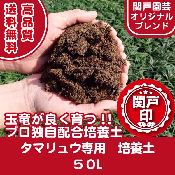 【オリジナルブレンド】 プロ独自配合! よく育つ! 玉竜専用の培養土 50L | 関戸園芸 三重 鈴鹿 鈴鹿サーキット