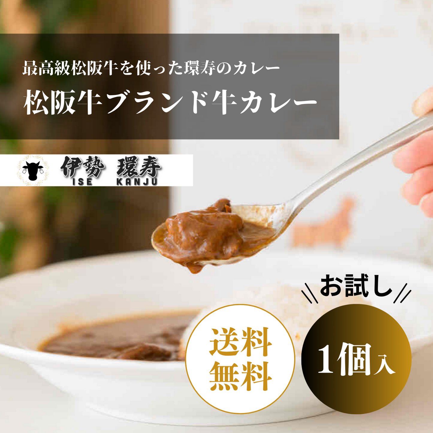 【送料無料】お試し 肉感を堪能！ 松阪牛 ブランド牛カレー 1個入り | 松阪牛プロジェクト 伊勢環寿 三重 度会郡 玉城町