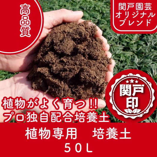 【オリジナルブレンド】 プロ独自配合！ よく育つ！ 玉竜専用の培養土 50L | 関戸園芸 三重 鈴鹿 鈴鹿サーキット