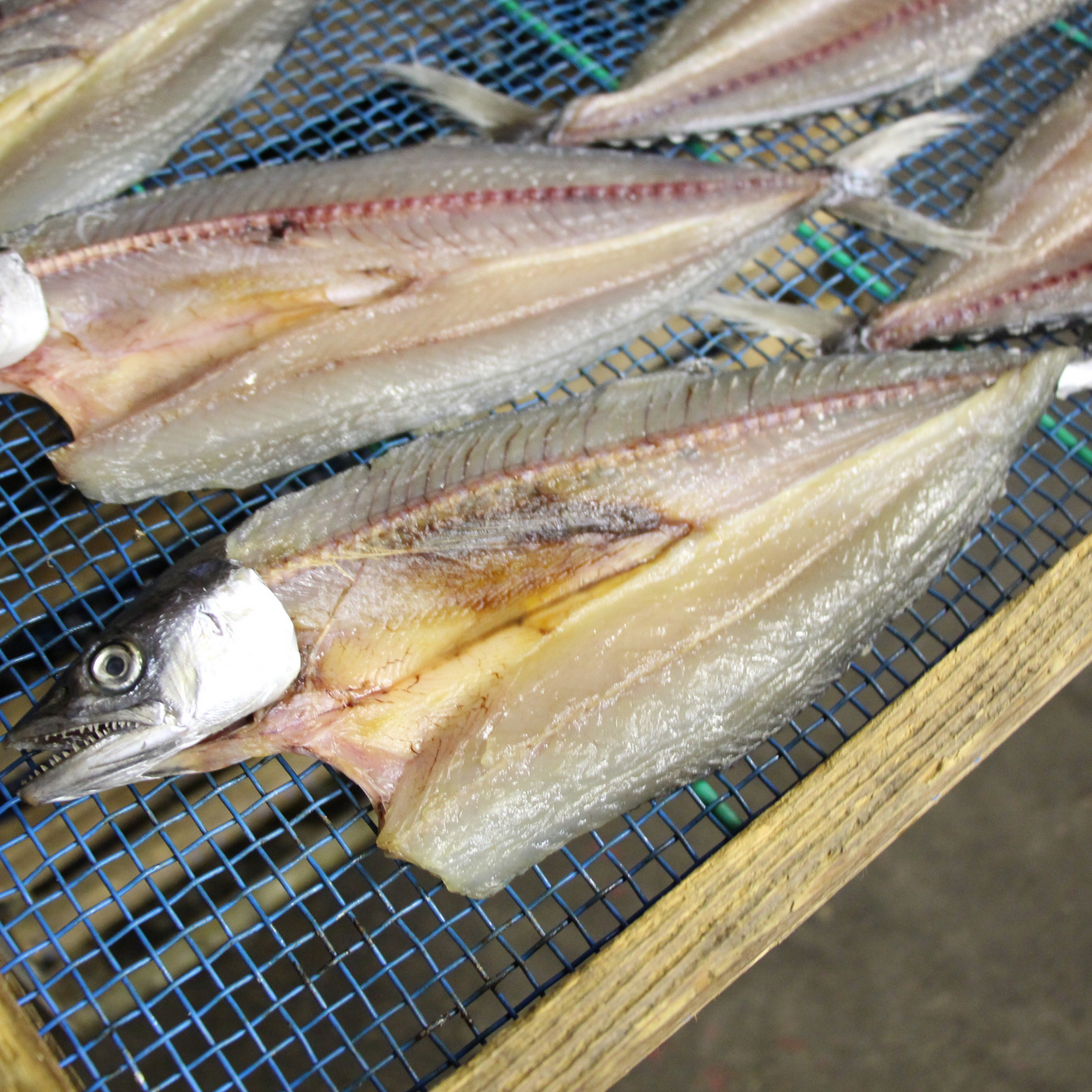 【予約商品】新鮮 旬のお魚が美味しい！ 冷凍 地魚 干物 ３種 各２食セット | mogcook モグック 三重 紀北町 熊野古道