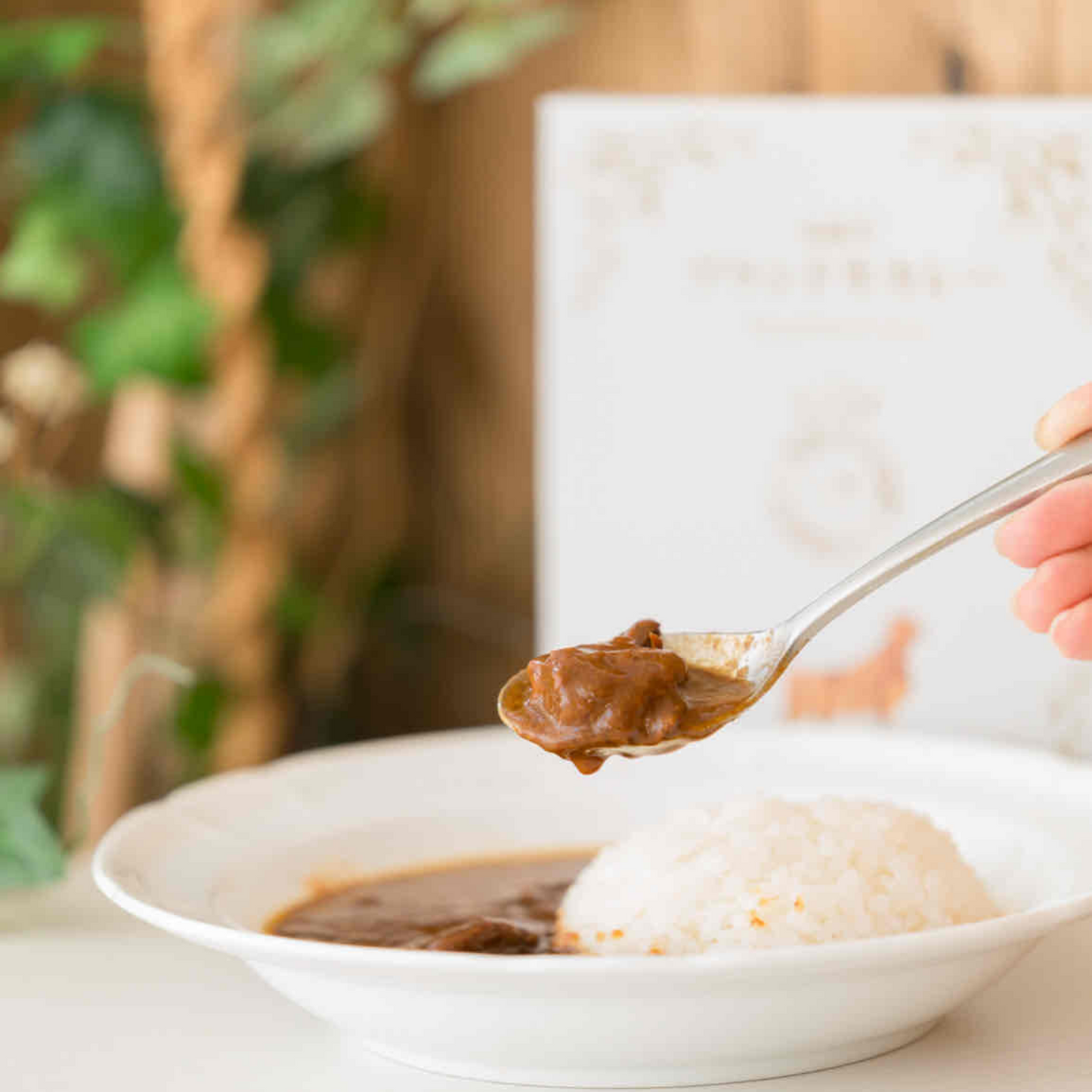 【送料無料】お試し 肉感を堪能！ 松阪牛 ブランド牛カレー 1個入り | 松阪牛プロジェクト 伊勢環寿 三重 度会郡 玉城町